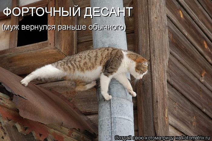 (муж вернулся раньше обычного) ФОРТОЧНЫЙ ДЕСАНТ... Котоматрица: (муж вернулся раньше обычного) ФОРТОЧНЫЙ ДЕСАНТ