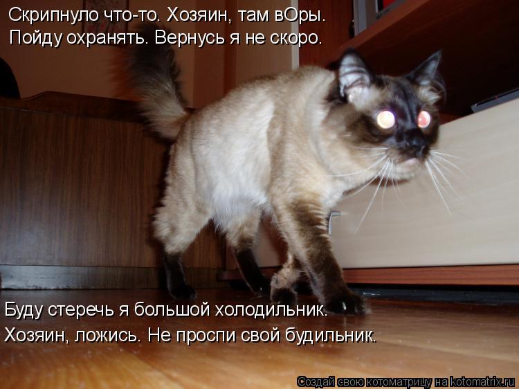 Скрипнуло что-то. Хозяин, там вОры. Пойду охранять. Вернусь я не скоро. Буду стеречь я большой холоди... Котоматрица: Скрипнуло что-то. Хозяин, там вОры. Пойду охранять. Вернусь я не скоро. Буду стеречь я большой холодильник. Хозяин, ложись. Не проспи свой буд