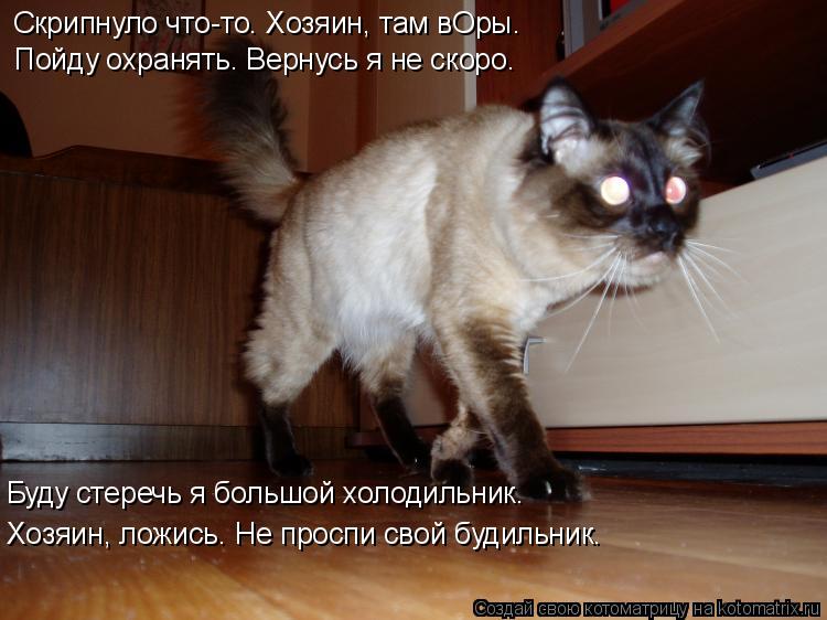 Котоматрица: Скрипнуло что-то. Хозяин, там вОры. Пойду охранять. Вернусь я не скоро. Буду стеречь я большой холодильник. Хозяин, ложись. Не проспи свой буд