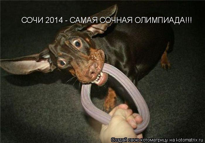 СОЧИ 2014 - САМАЯ СОЧНАЯ ОЛИМПИАДА!!!... Котоматрица: СОЧИ 2014 - САМАЯ СОЧНАЯ ОЛИМПИАДА!!!