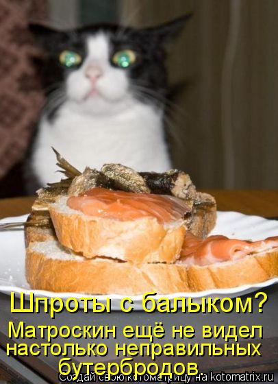 Шпроты с балыком? Матроскин ещё не видел настолько неправильных бутербродов.... Котоматрица: Шпроты с балыком? Матроскин ещё не видел настолько неправильных бутербродов.