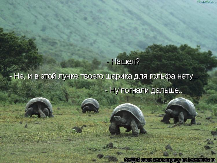- Нашел? - Не, и в этой лунке твоего шарика для гольфа нету... - Ну погнали дальше...... Котоматрица: - Нашел? - Не, и в этой лунке твоего шарика для гольфа нету... - Ну погнали дальше...