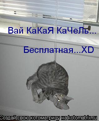 Вай КаКаЯ КаЧеЛь... Вай КаКаЯ КаЧеЛь... Бесплатная...XD... Котоматрица: Вай КаКаЯ КаЧеЛь... Вай КаКаЯ КаЧеЛь... Бесплатная...XD