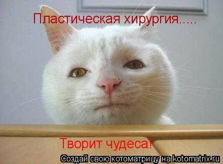 Пластическая хирургия..... Творит чудеса!... Котоматрица: Пластическая хирургия..... Творит чудеса!