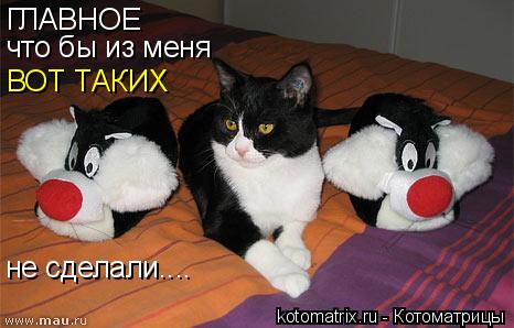 ГЛАВНОЕ ГЛАВНОЕ что бы из меня ВОТ ТАКИХ не сделали....... Котоматрица: ГЛАВНОЕ ГЛАВНОЕ что бы из меня ВОТ ТАКИХ не сделали....