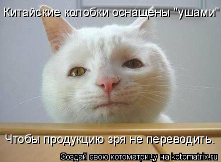 Китайские колобки оснащены "ушами" Чтобы продукцию зря не переводить.... Котоматрица: Китайские колобки оснащены "ушами" Чтобы продукцию зря не переводить.