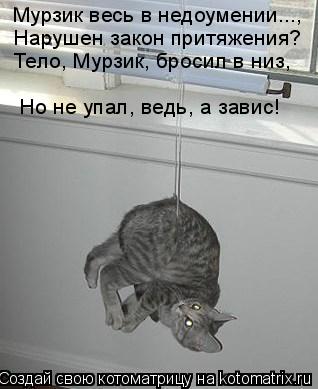 Мурзик весь в недоумении..., Нарушен закон притяжения? Тело, Мурзик, бросил в низ, Но не упал, ведь, ... Котоматрица: Мурзик весь в недоумении..., Нарушен закон притяжения? Тело, Мурзик, бросил в низ, Но не упал, ведь, а завис!