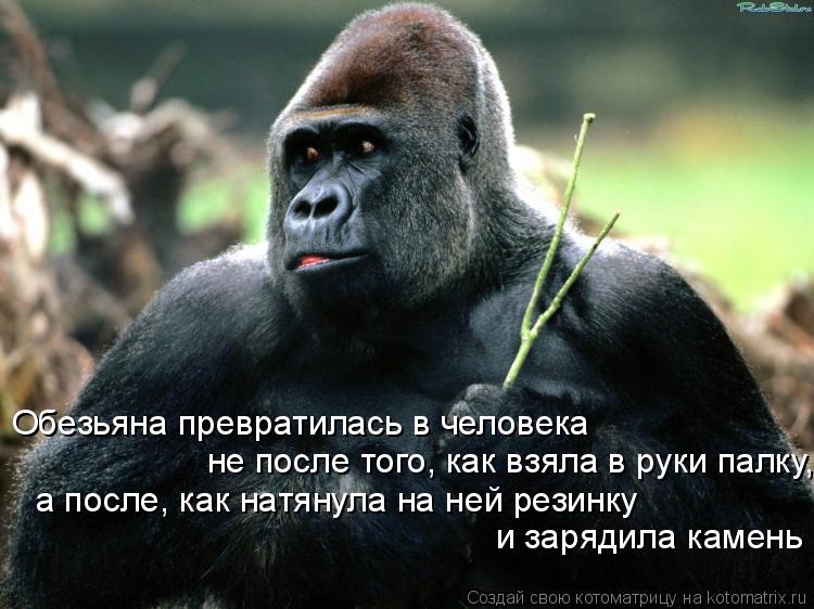Обезьяна превратилась в человека не после того, как взяла в руки палку, а после, как натянула на ней ... Котоматрица: Обезьяна превратилась в человека не после того, как взяла в руки палку, а после, как натянула на ней резинку и зарядила камень