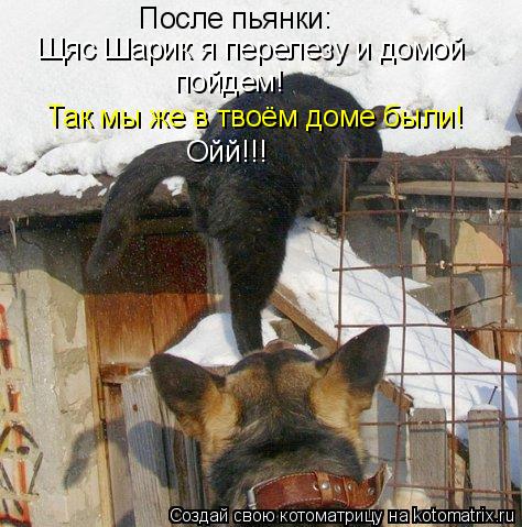 После пьянки: Щяс Шарик я перелезу и домой пойдем! Так мы же в твоём доме были! Ойй!!!... Котоматрица: После пьянки: Щяс Шарик я перелезу и домой пойдем! Так мы же в твоём доме были! Ойй!!!