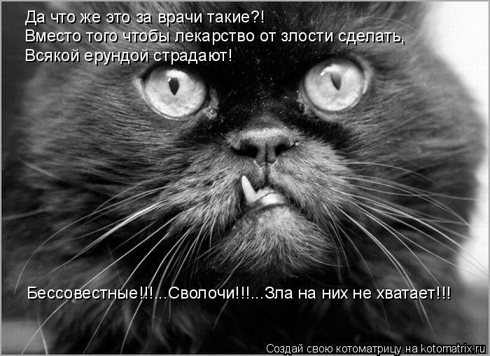 Да что же это за врачи такие?! Вместо того чтобы лекарство от злости сделать, Бессовестные!!!...Своло... Котоматрица: Да что же это за врачи такие?! Вместо того чтобы лекарство от злости сделать, Бессовестные!!!...Сволочи!!!...Зла на них не хватает!!! Всякой ерунд