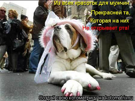 Из всех красоток для мужчин Прекрасней та, Которая на них Не открывает рта!... Котоматрица: Из всех красоток для мужчин Прекрасней та, Которая на них Не открывает рта!