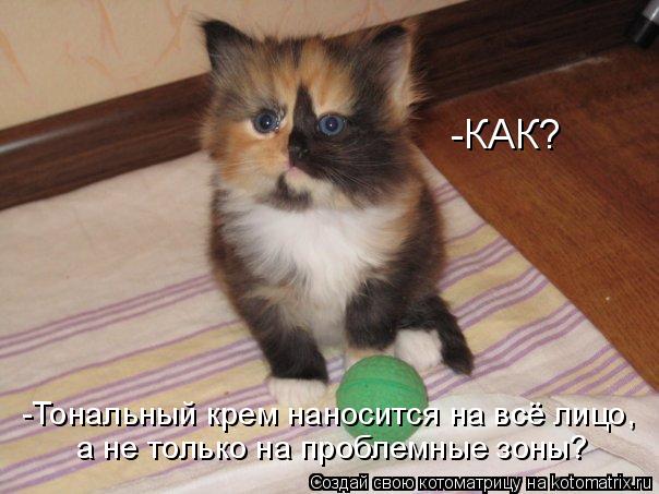 -КАК? -Тональный крем наносится на всё лицо, а не только на проблемные зоны?... Котоматрица: -КАК? -Тональный крем наносится на всё лицо, а не только на проблемные зоны?