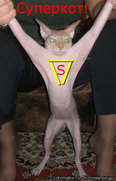 S / Суперкот! __... Котоматрица: S / Суперкот! __