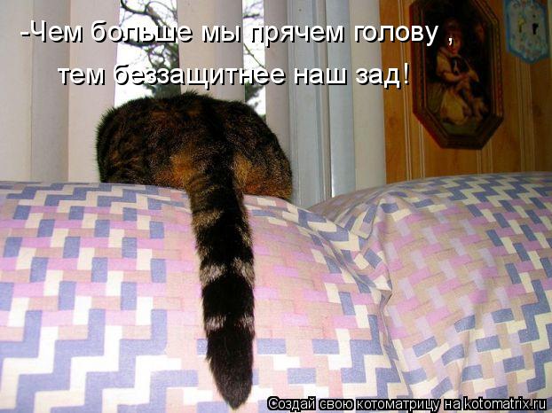 -Чем больше мы прячем голову , тем беззащитнее наш зад!... Котоматрица: -Чем больше мы прячем голову , тем беззащитнее наш зад!