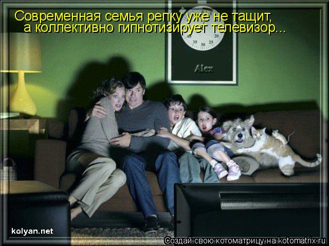 Современная семья репку уже не тащит, а коллективно гипнотизирует телевизор...... Котоматрица: Современная семья репку уже не тащит, а коллективно гипнотизирует телевизор...