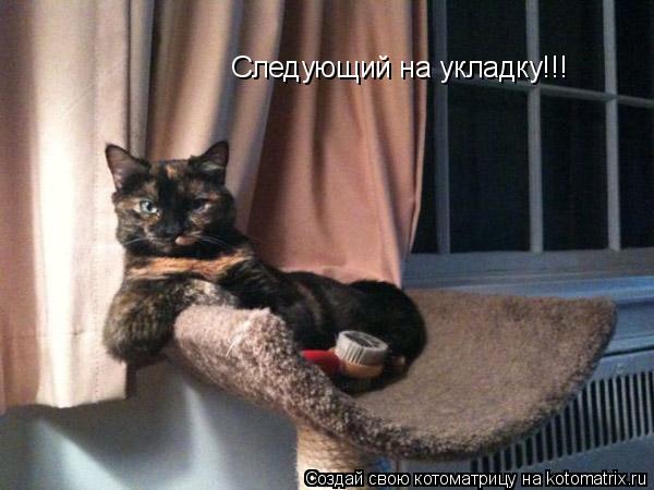 Следующий на укладку!!!... Котоматрица: Следующий на укладку!!!