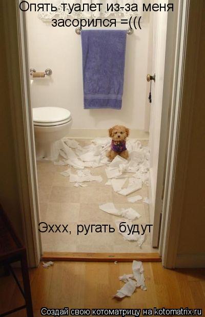Опять туалет из-за меня засорился =((( Эххх, ругать будут... Котоматрица: Опять туалет из-за меня засорился =((( Эххх, ругать будут
