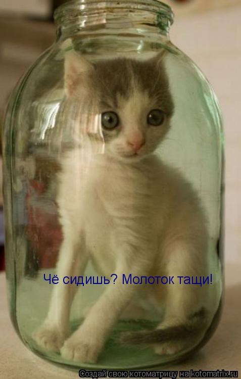 Чё сидишь? Молоток тащи!... Котоматрица: Чё сидишь? Молоток тащи!
