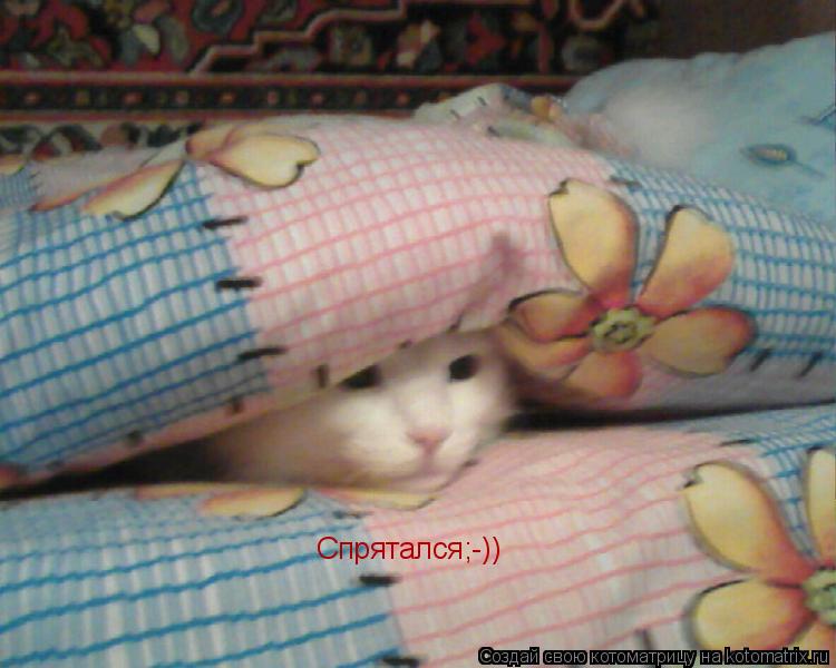 Спрятался;-))... Котоматрица: Спрятался;-))