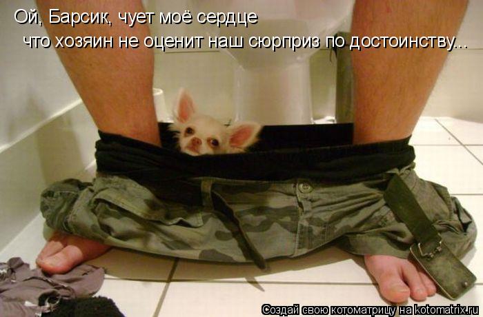 Ой, Барсик, чует моё сердце что хозяин не оценит наш сюрприз по достоинству...... Котоматрица: Ой, Барсик, чует моё сердце что хозяин не оценит наш сюрприз по достоинству...