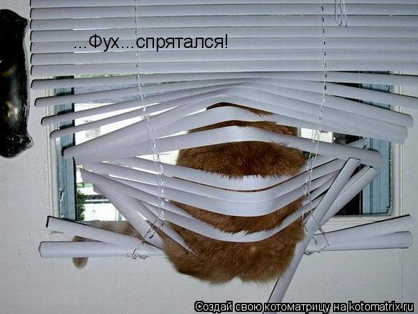 Котоматрица: ...Фух...спрятался!