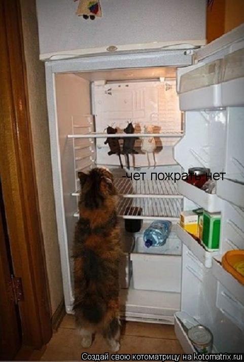 Котоматрица: -чет пожрать нет