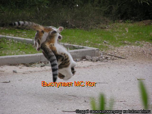 Котоматрица: Выступает MC Кот Выступает MC Кот