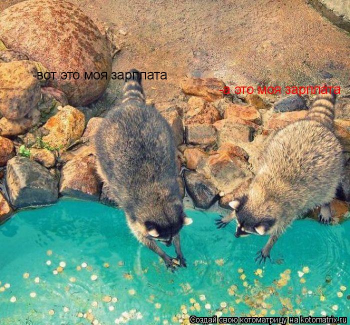 Котоматрица: -вот это моя зарплата -а это моя зарплата