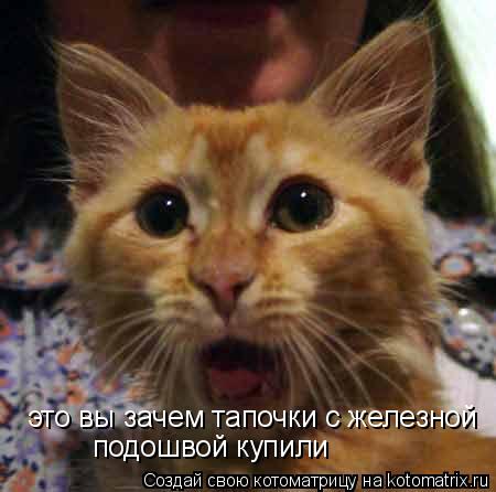 Котоматрица: это вы зачем тапочки с железной  подошвой купили