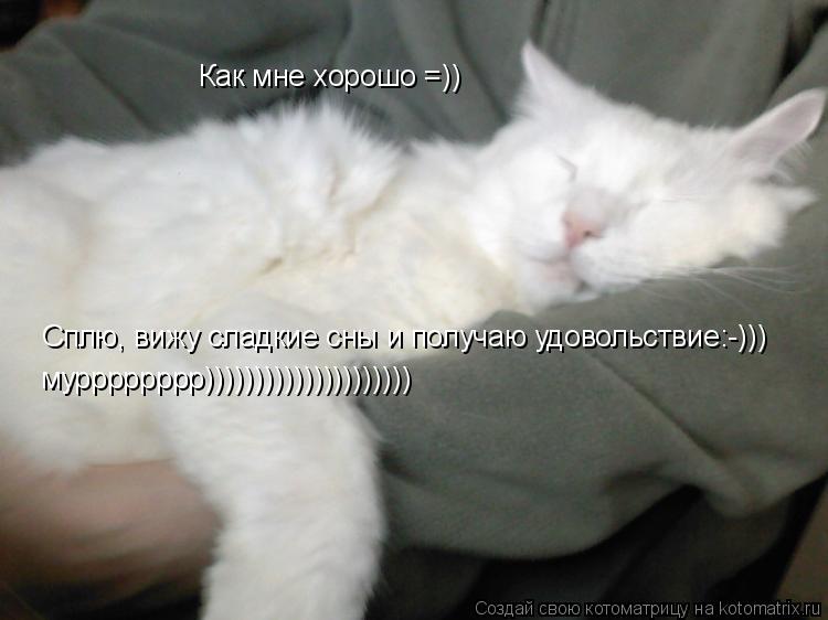 Котоматрица: Как мне хорошо =)) Сплю, вижу сладкие сны и получаю удовольствие:-))) мурррррррр)))))))))))))))))))))