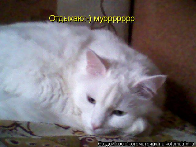 Котоматрица: Отдыхаю:-) муррррррр