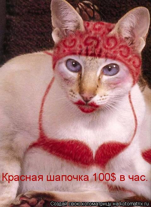 Котоматрица: Красная шапочка 100$ в час.