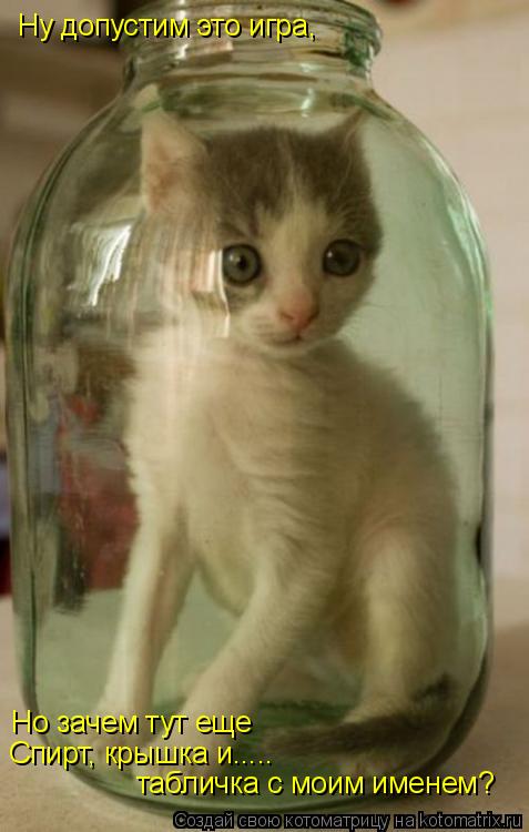 Котоматрица: Но зачем тут еще Спирт, крышка и..... табличка с моим именем? Ну допустим это игра,