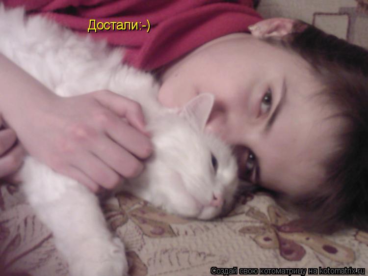 Котоматрица: Достали:-)