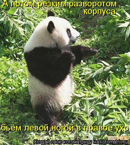 Котоматрица: А потом резким разворотом корпуса бьём левой ногой в правое ухо