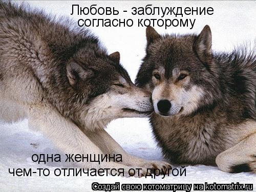 Котоматрица: Любовь - заблуждение согласно которому  одна женщина   чем-то отличается от другой
