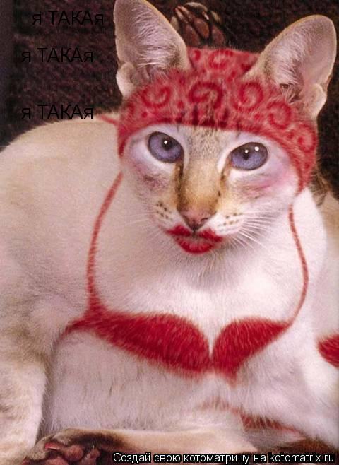 Котоматрица: я ТАКАя   я ТАКАя   я ТАКАя