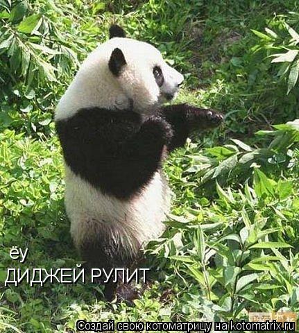 ёу ДИДЖЕЙ РУЛИТ... Котоматрица: ёу ДИДЖЕЙ РУЛИТ
