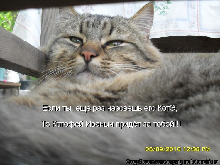 Если ты, еще раз назовешь его КотЭ, То Котофей Иваныч придёт за тобой!!!... Котоматрица: Если ты, еще раз назовешь его КотЭ, То Котофей Иваныч придёт за тобой!!!
