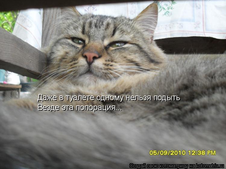 Даже в туалете одному нельзя подыть Везде эта попорация...... Котоматрица: Даже в туалете одному нельзя подыть Везде эта попорация...