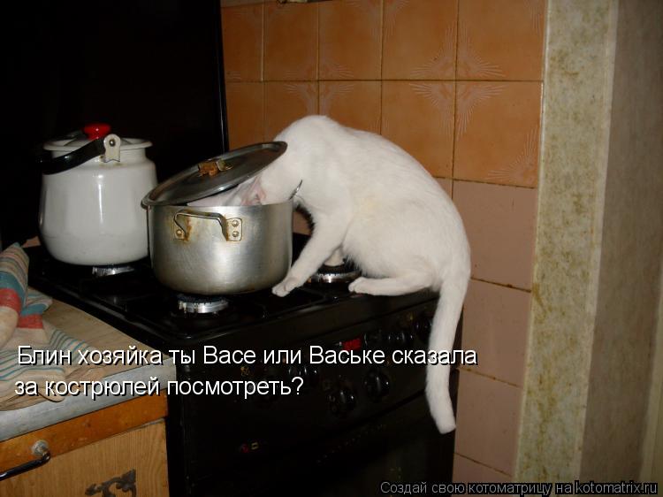 Блин хозяйка ты Васе или Ваське сказала за кострюлей посмотреть?... Котоматрица: Блин хозяйка ты Васе или Ваське сказала за кострюлей посмотреть?