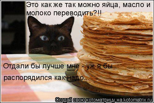 Это как же так можно яйца, масло и молоко переводить?!! Отдали бы лучше мне - уж я бы распорядился к... Котоматрица: Это как же так можно яйца, масло и молоко переводить?!! Отдали бы лучше мне - уж я бы распорядился как надо...