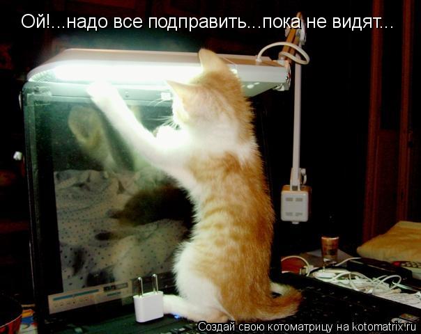 Ой!...надо все подправить...пока не видят...... Котоматрица: Ой!...надо все подправить...пока не видят...
