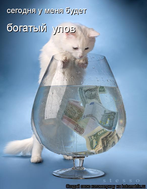 сегодня у меня будет сегодня у меня будет богатый улов... Котоматрица: сегодня у меня будет сегодня у меня будет богатый улов