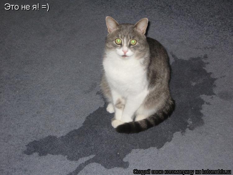 Это не я! =)... Котоматрица: Это не я! =)