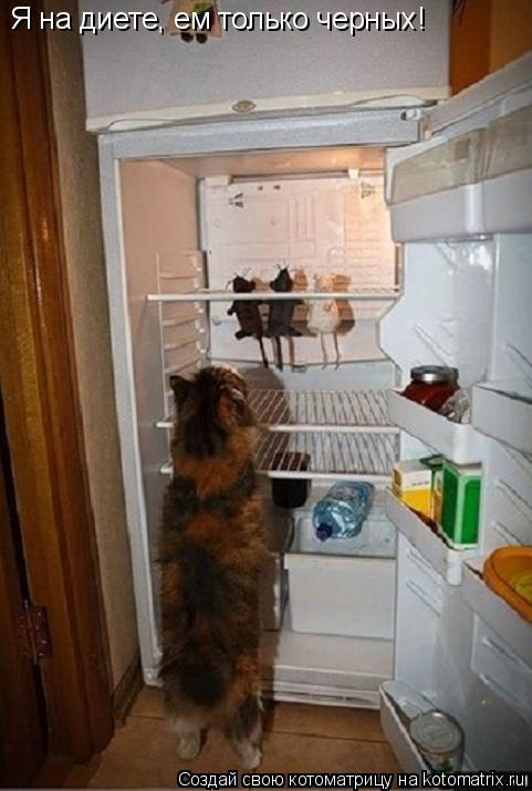 Я на диете, ем только черных!... Котоматрица: Я на диете, ем только черных!