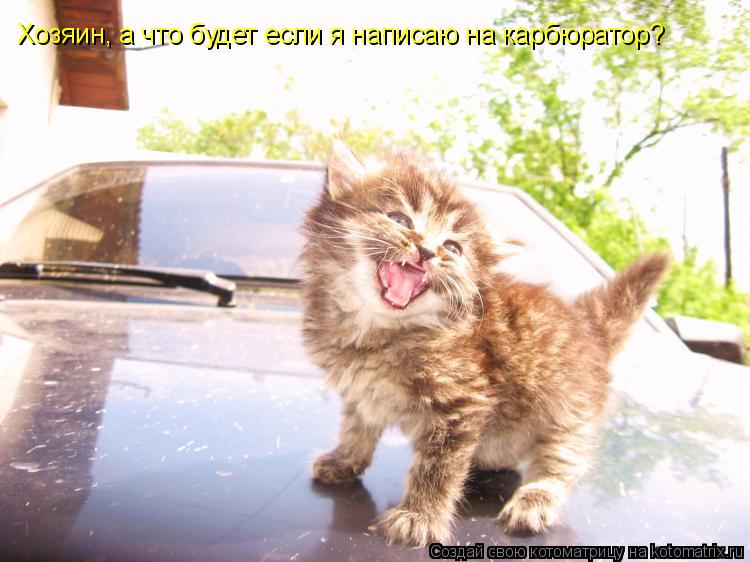 Хозяин, а что будет если я написаю на карбюратор?... Котоматрица: Хозяин, а что будет если я написаю на карбюратор?