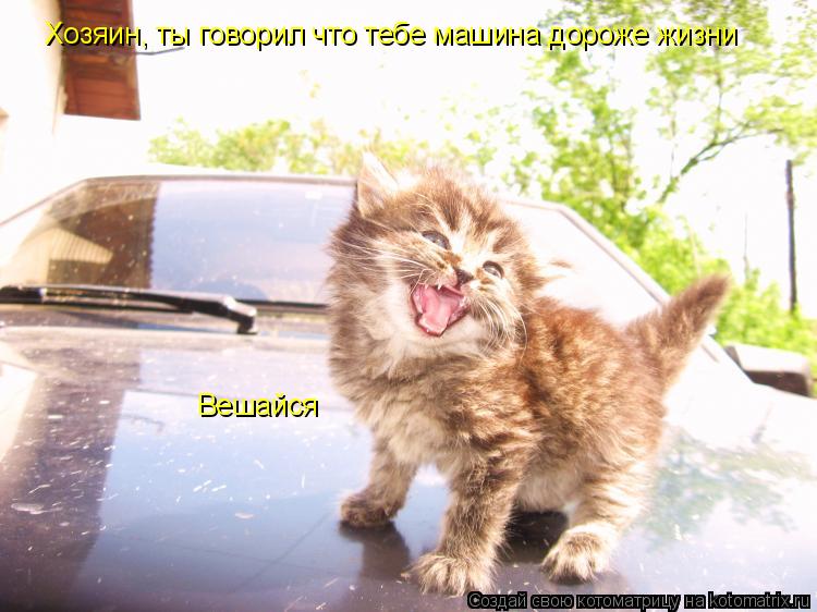 Хозяин, ты говорил что тебе машина дороже жизни Вешайся... Котоматрица: Хозяин, ты говорил что тебе машина дороже жизни Вешайся