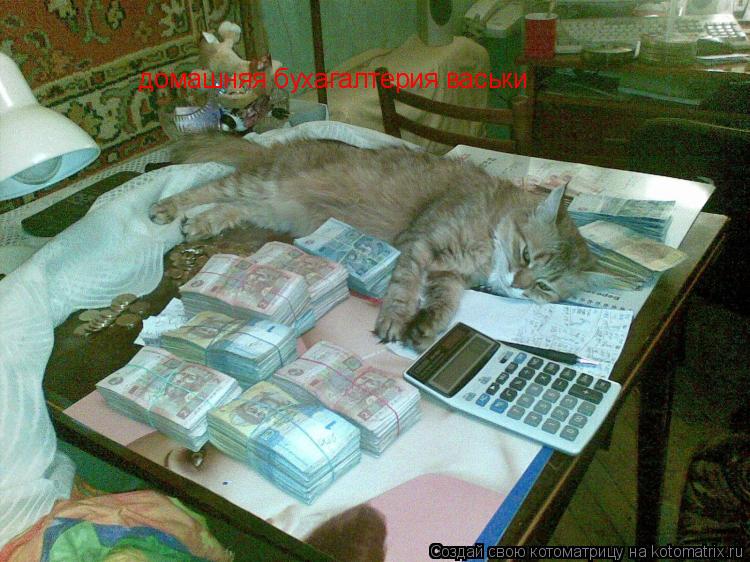 домашняя бухагалтерия васьки... Котоматрица: домашняя бухагалтерия васьки