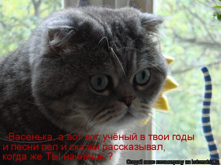 -Васенька, а вот кот учёный в твои годы и песни пел и сказки рассказывал когда же ТЫ начнёшь ? ,... Котоматрица: -Васенька, а вот кот учёный в твои годы и песни пел и сказки рассказывал когда же ТЫ начнёшь ? ,